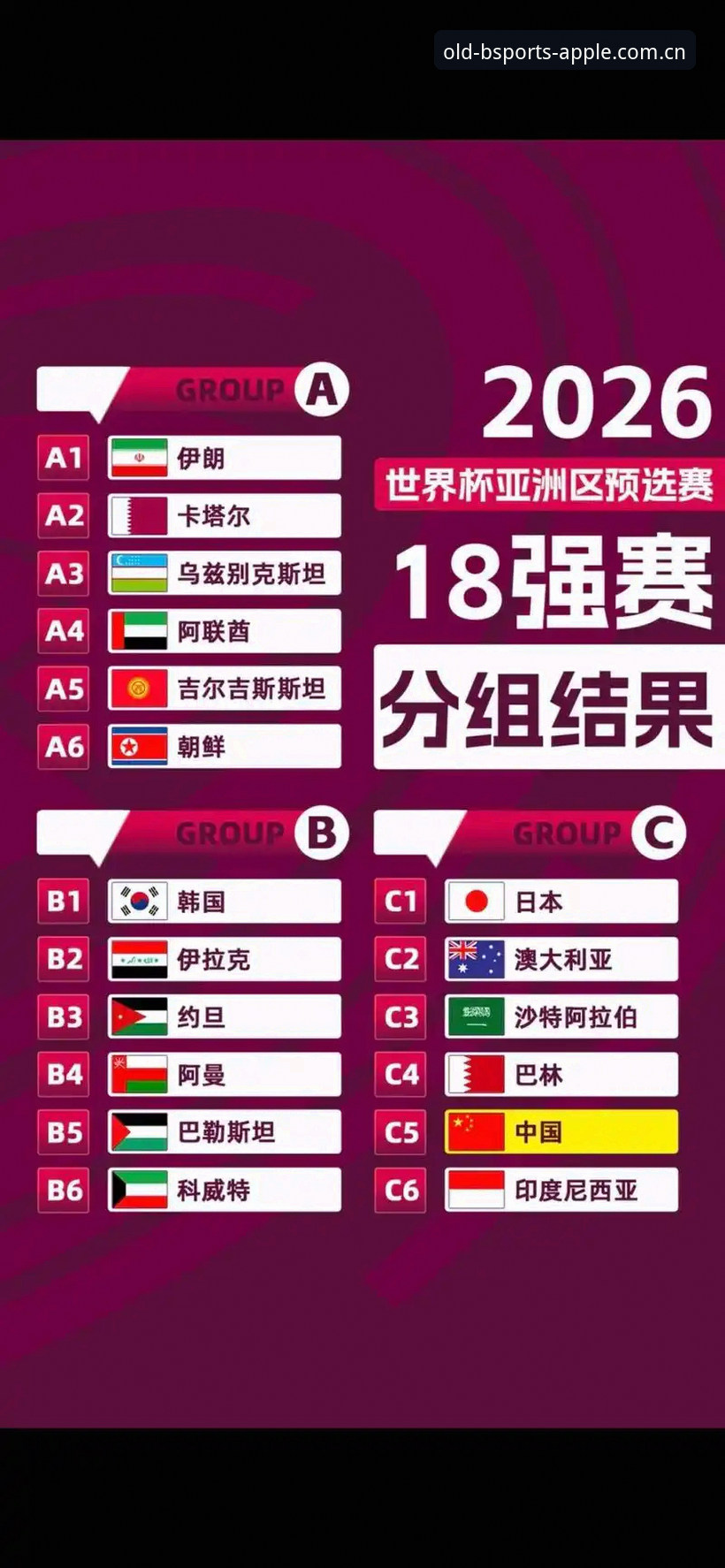 U17世界杯抽签结果深度分析：中国男女足前景全面解析
